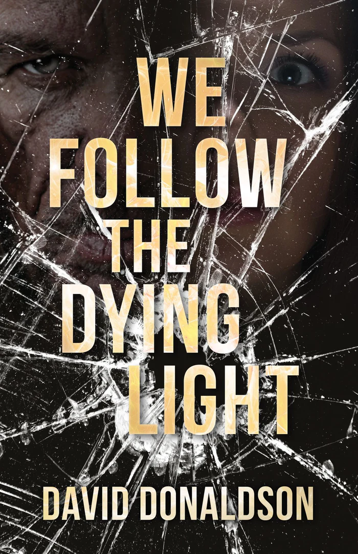 Cover of We Follow the Dying Light by David Donaldson